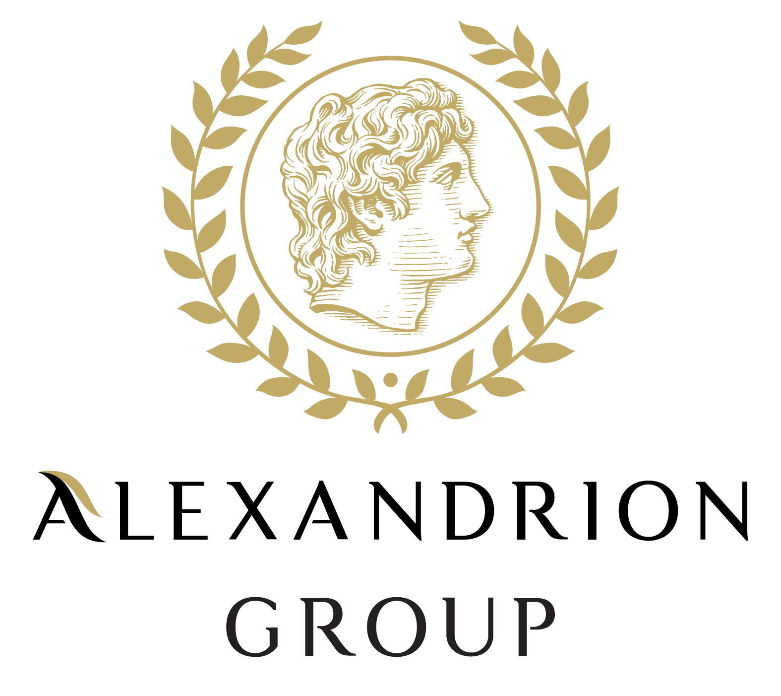 alexandriongroup.com client-image